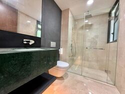 Dunearn 386 (D11), Apartment #580124201
